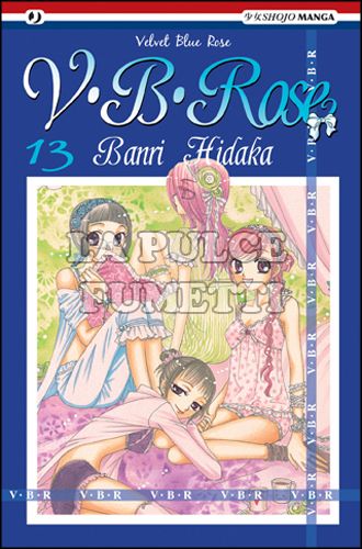 V.B. ROSE #    13